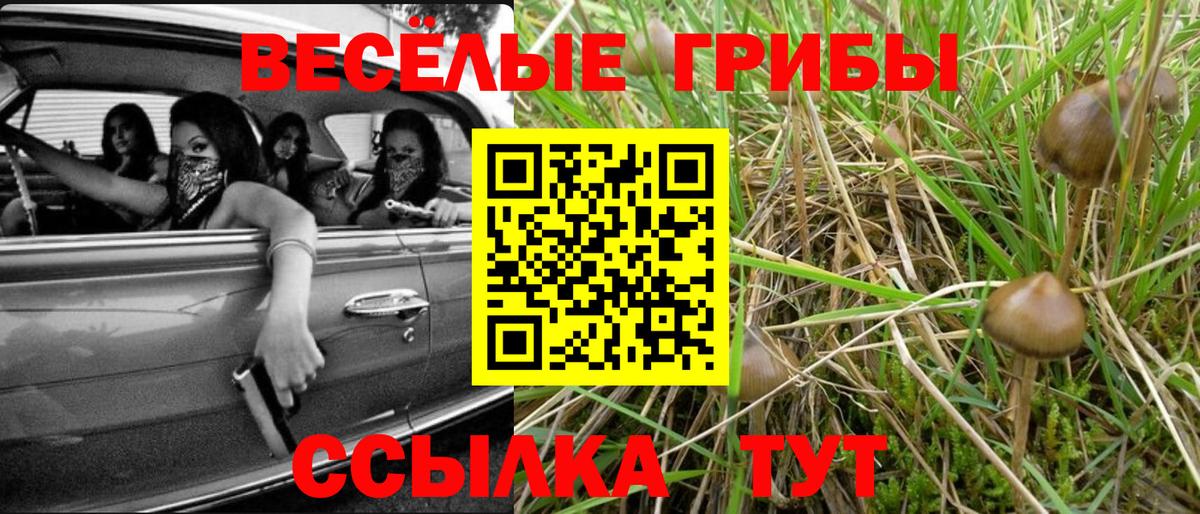 Псилоцибиновые грибы прущие грибы  Псилоцибиновые грибы Cubensis  Вход с VPN  где купить наркоту  Керчь 